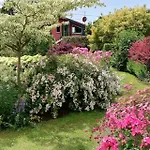 Bed & Breakfast La Collina Since 2008 No Smoking