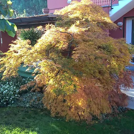 Bed & Breakfast La Collina Since 2008 No Smoking