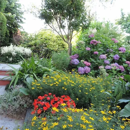 La Collina Since 2008 No Smoking Bed & Breakfast *